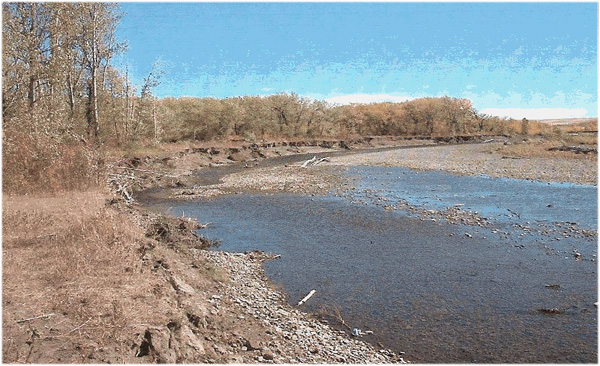 A Non-Point Source stream restoration enhancement project in the Two Medicine Watershed on the Two Medicine River. This Non-Point Source project was funded by the EPA and the Partners for Wildlife.