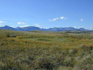 Blackfeet Environmental Wetlands Program