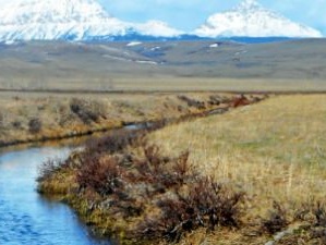 Blackfeet Environmental Wetlands Program