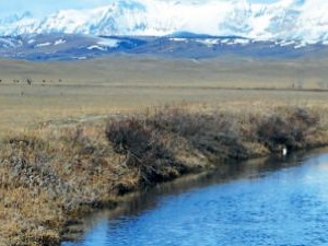 Blackfeet Environmental Wetlands Program